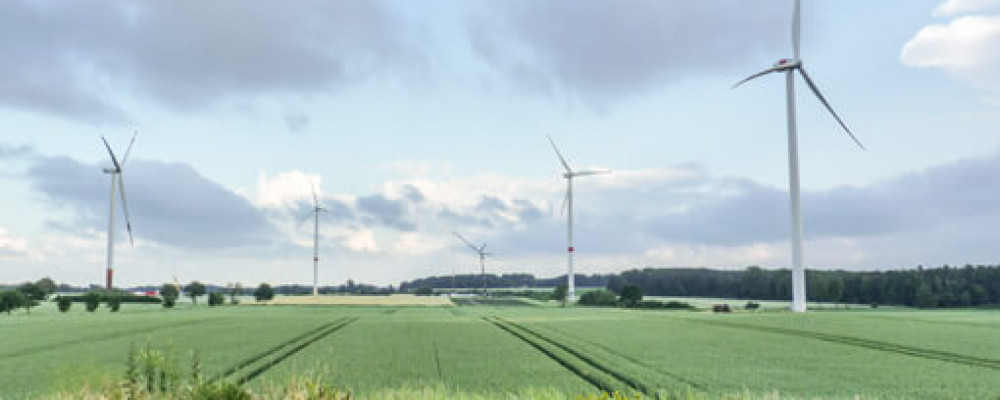 getproject WP Nateln